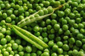 Peas Support Any Vegan Muscle Building Diet Plan